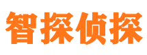 安岳婚外情取证